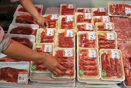 Nhật nới lỏng hạn chế nhập khẩu thịt từ Mỹ và Canada 